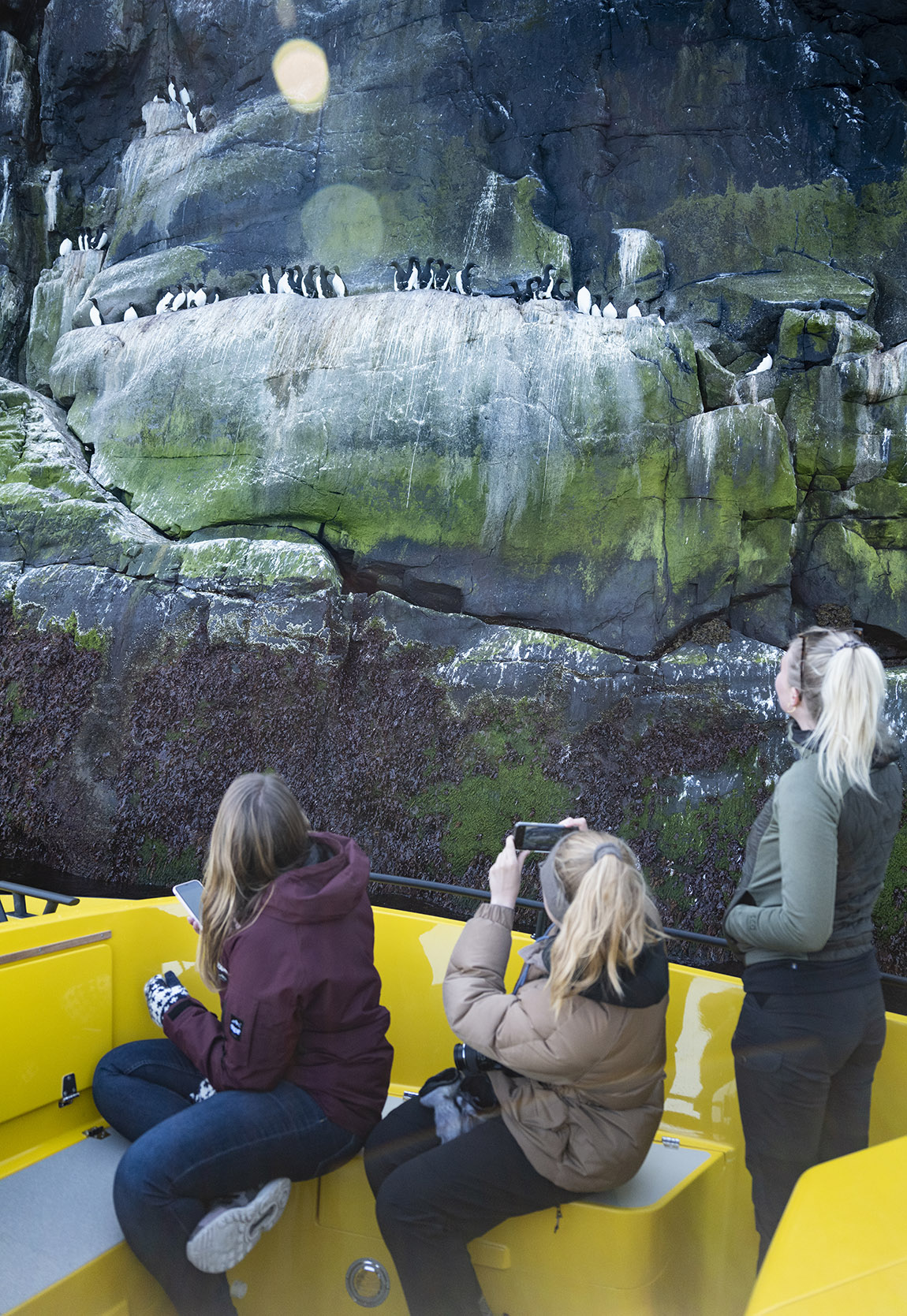 Nuuk Water Taxi: Explore the unexplored