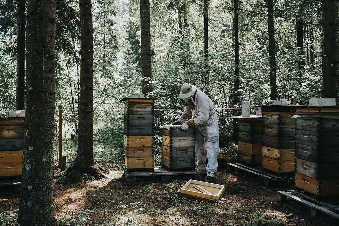 Nordic Honey: Organic honey with a bee-autiful legacy