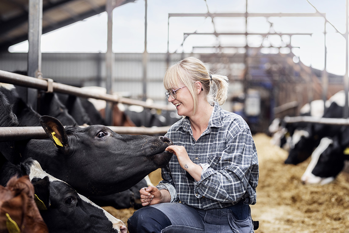 Skånemejerier: Pioneering dairy producer with ambitious long-term vision