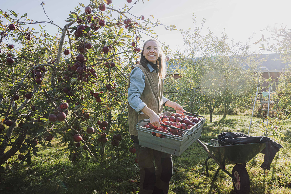 Norrtälje Bränneri: Meet Sweden’s oldest fruit distillery