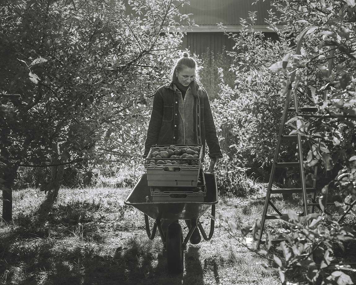 Norrtälje Bränneri: Meet Sweden’s oldest fruit distillery