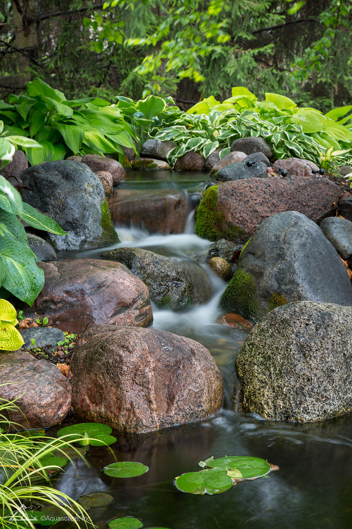 Aquascape: Creating the outdoor paradise of your dreams