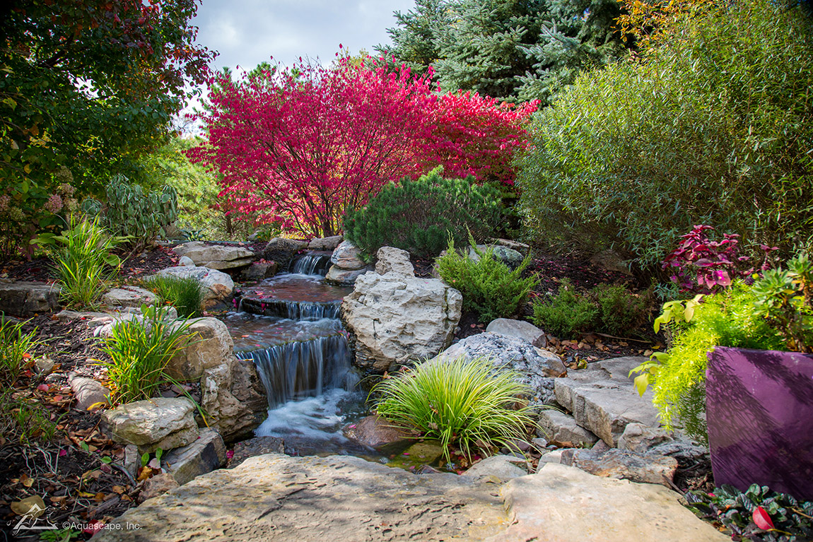 Aquascape: Creating the outdoor paradise of your dreams