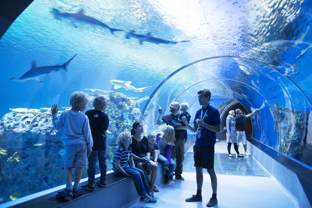 The National Aquarium Denmark | Den Blå Planet, Scan Magazine