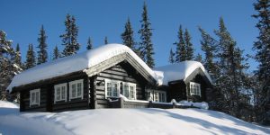 G. Thue Håndlafting og Sagbruk: The quintessential log cabin maker