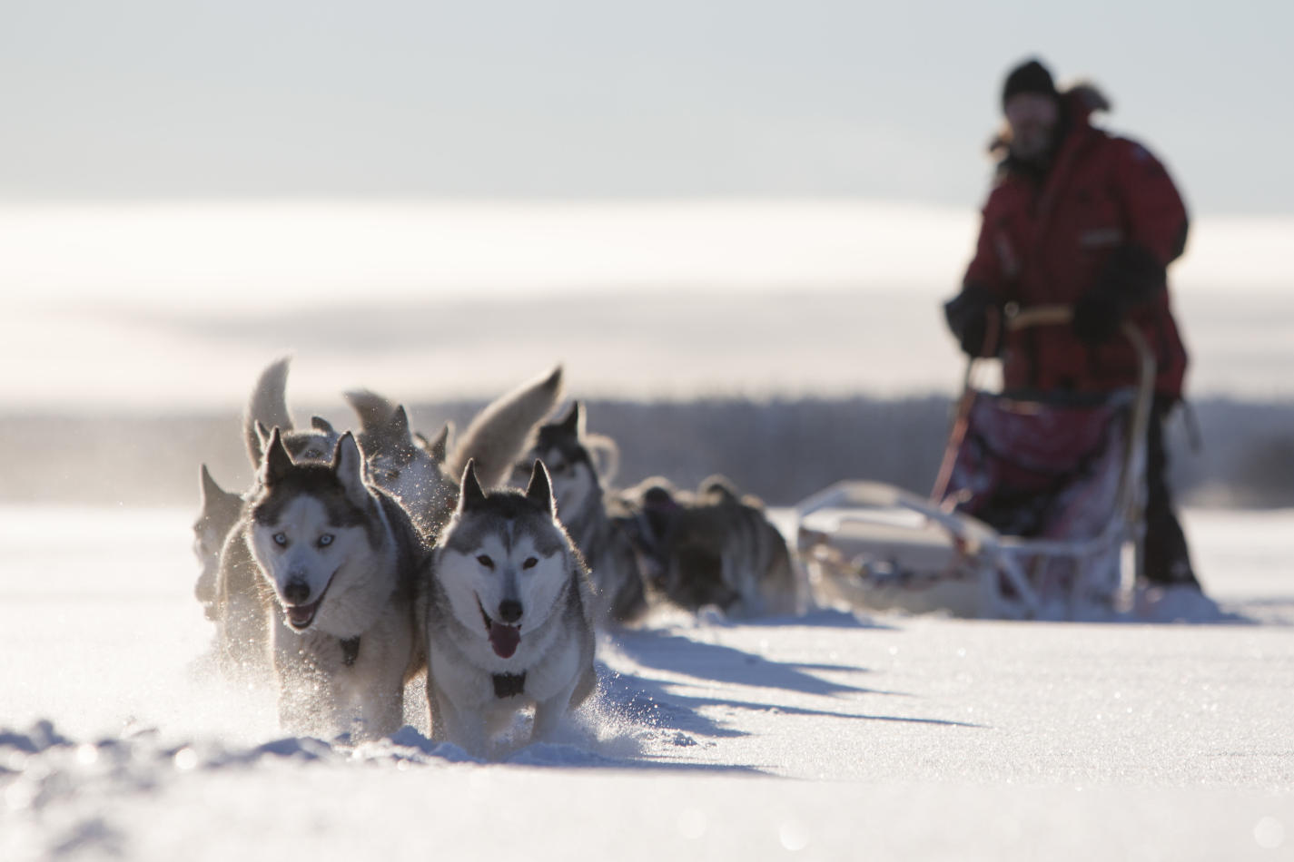 VisitSweden | A winter wonderland full of activities | Scan Magazine