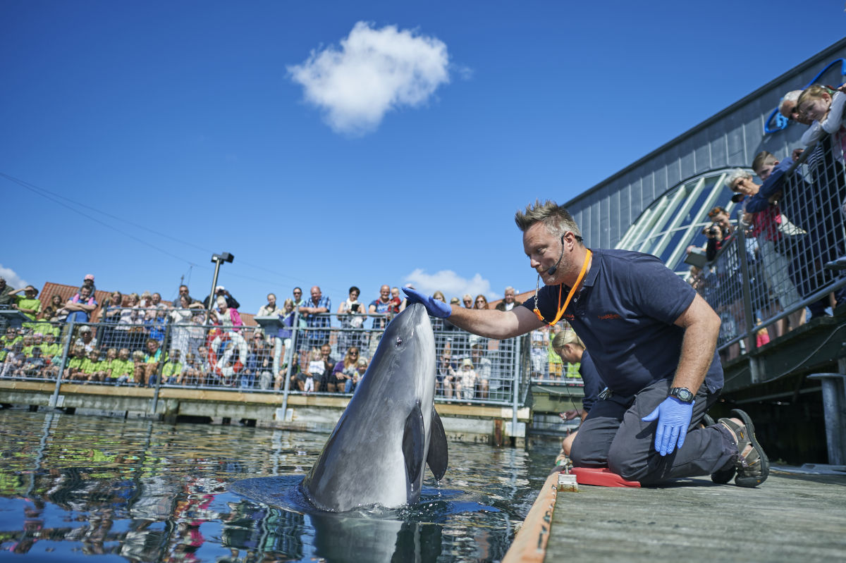 Naturama and Fjord&Bælt