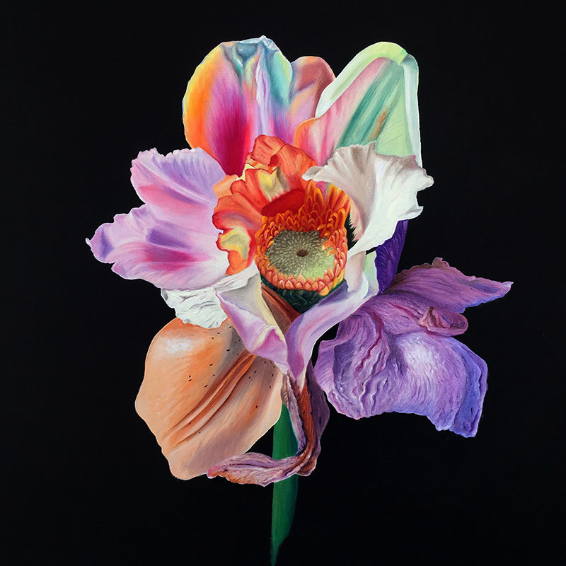 Lilium Asteraceae by Brandy Kraft, photo by Artely, Affordable Art Fair Stockholm, An affordable art revolution