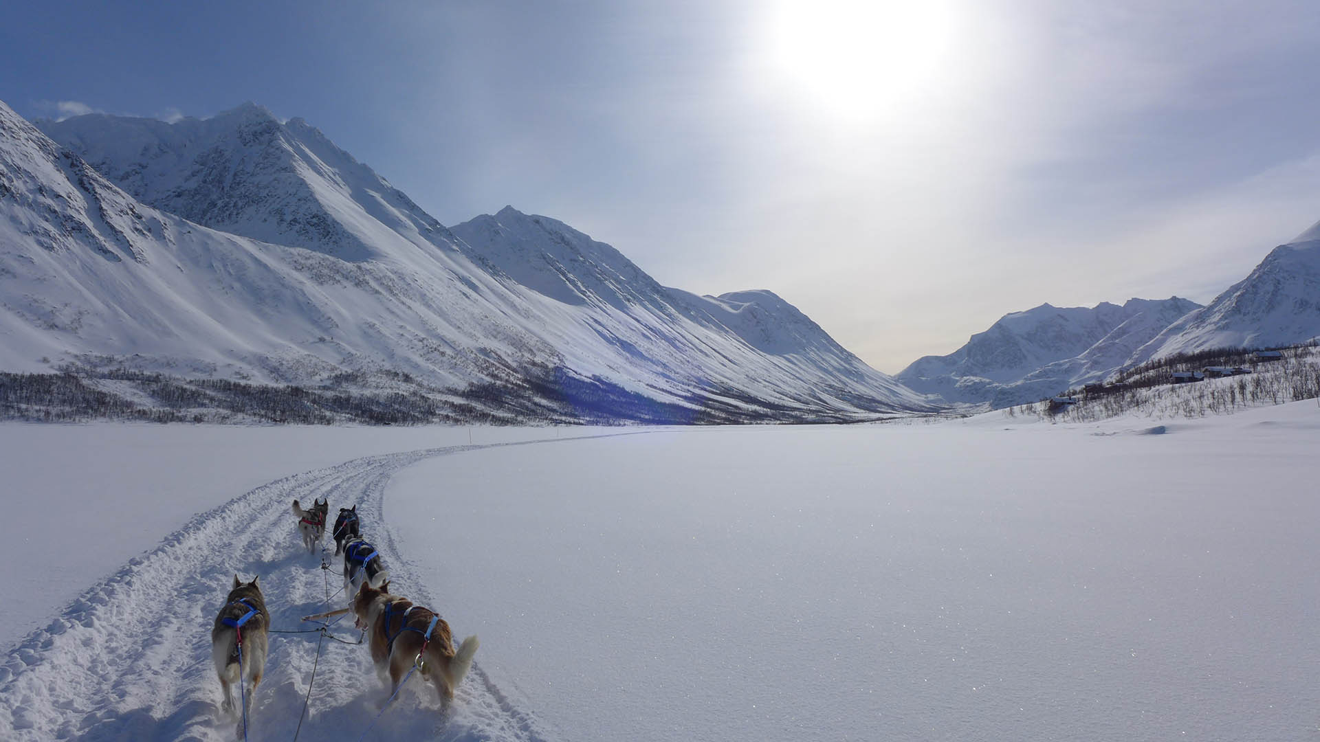 Lyngen Experience: A gem in the heart of the Lyngen Alps, Scan Magazine