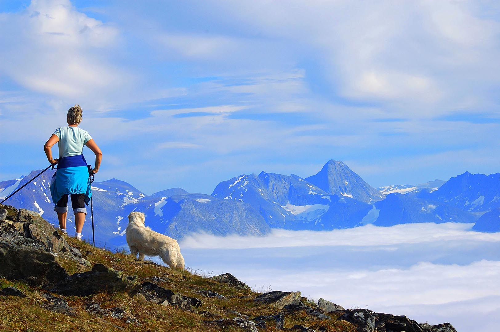 Narvikfjellet: Unique skiing resort with spectacular views, Scan Magazine