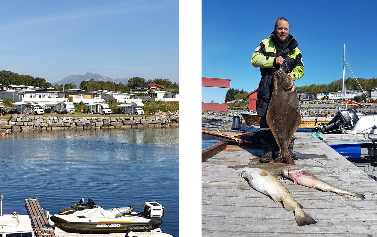 Tornes Fjordcamping: Family-friendly camping site in idyllic surroundings, Scan Magazine