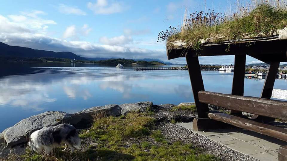 Tornes Fjordcamping: Family-friendly camping site in idyllic surroundings, Scan Magazine