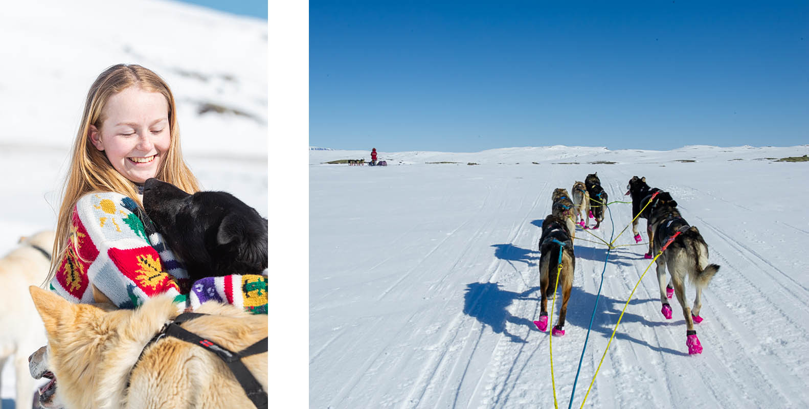 Geilo Husky: Dog sledding in Geilo, the ultimate Norwegian winter adventure, Scan Magazine