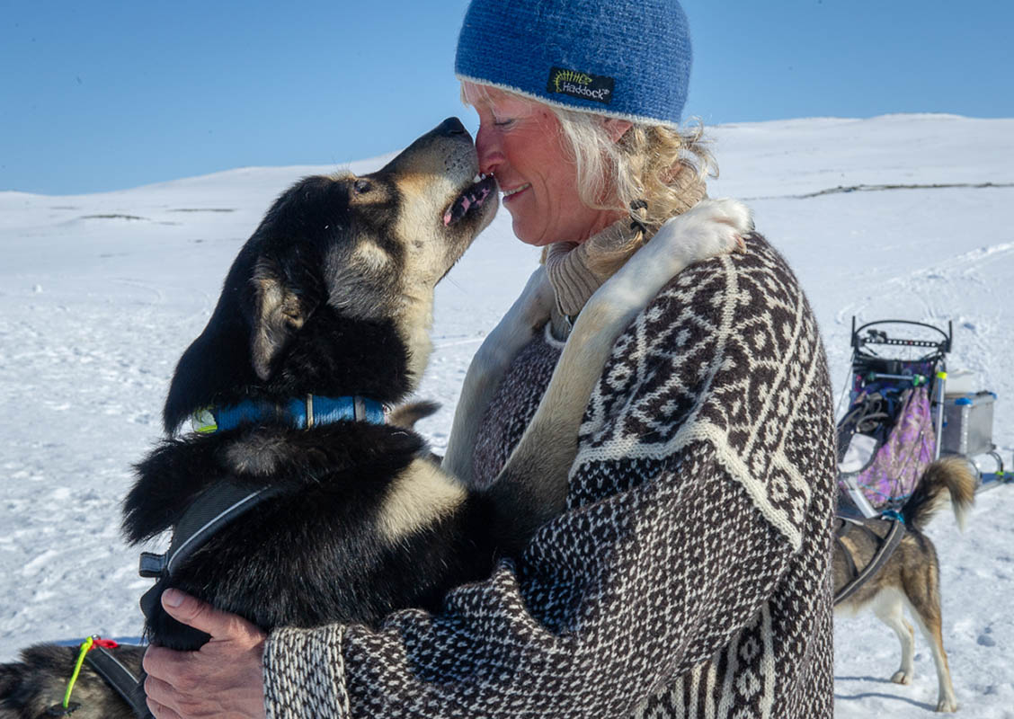 Geilo Husky: Dog sledding in Geilo, the ultimate Norwegian winter adventure, Scan Magazine