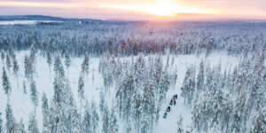 Nordic Unique Travels: Experiencing northern wilderness