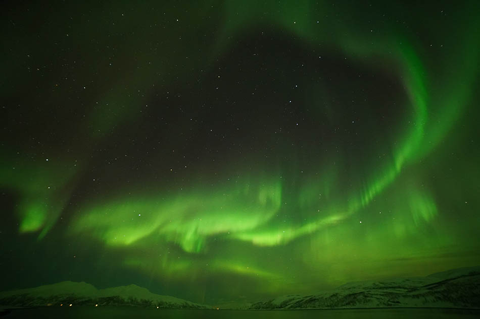 Amazing Arctic Tours | It’s looking up! | Scan Magazine