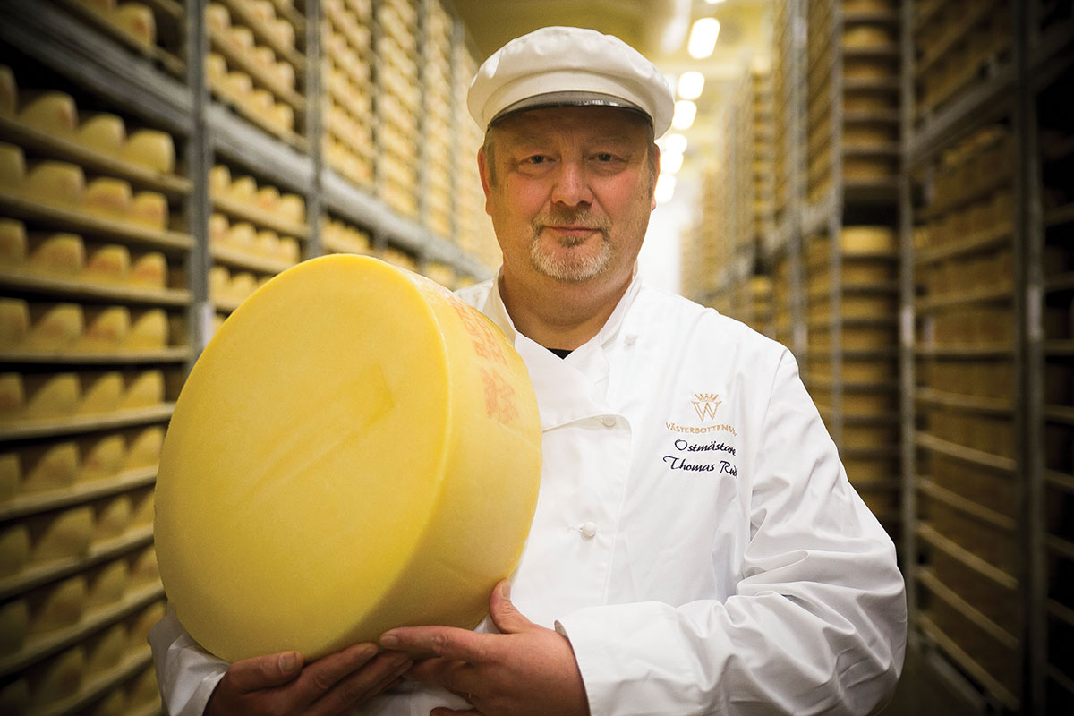 Västerbottensost | a love story between a country and a cheese