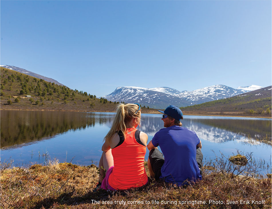 Jotunheimen