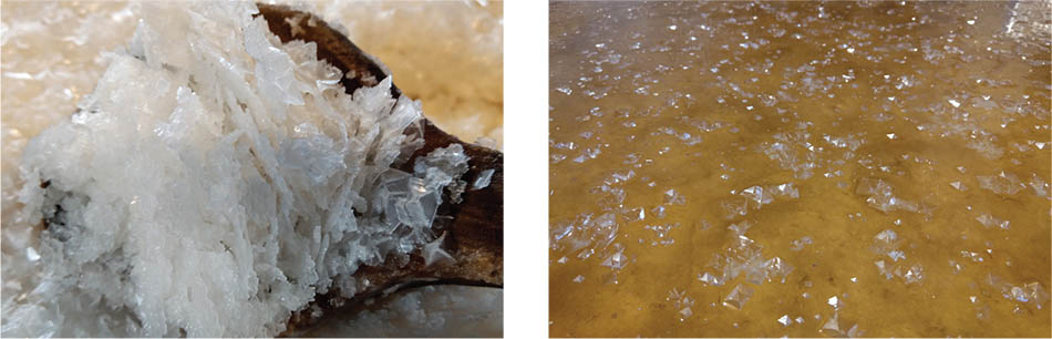 Læsø Salt Seasoned by Mother Nature