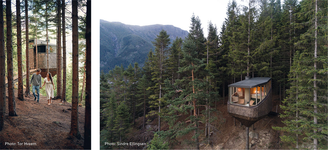 Woodnest: A story of love, a treehouse and being close to nature
