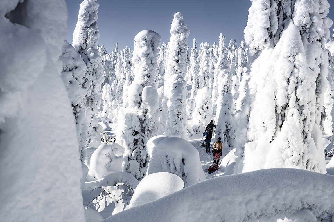 Jockfall: Magical winter days in the Swedish north