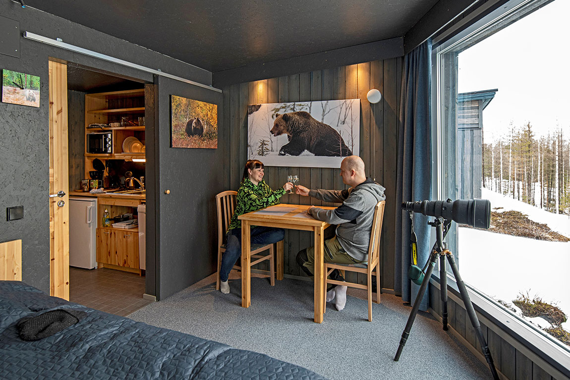 Bear Centre: Capture a photo of brown bears roaming free in the Finnish wilderness