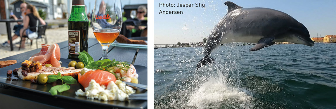 Svendborg: Feel the music – vibrant city life, fairytale islands, and a wild dolphin