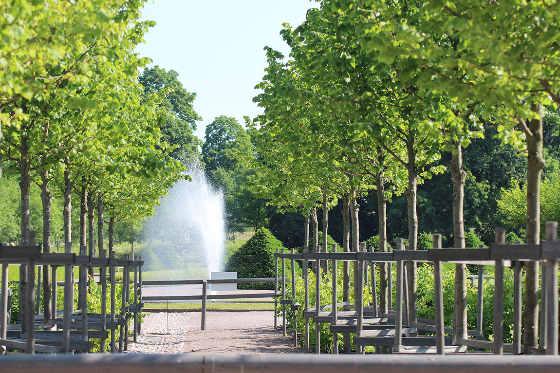 Flying Seeds in Uppsala’s Botanical Garden