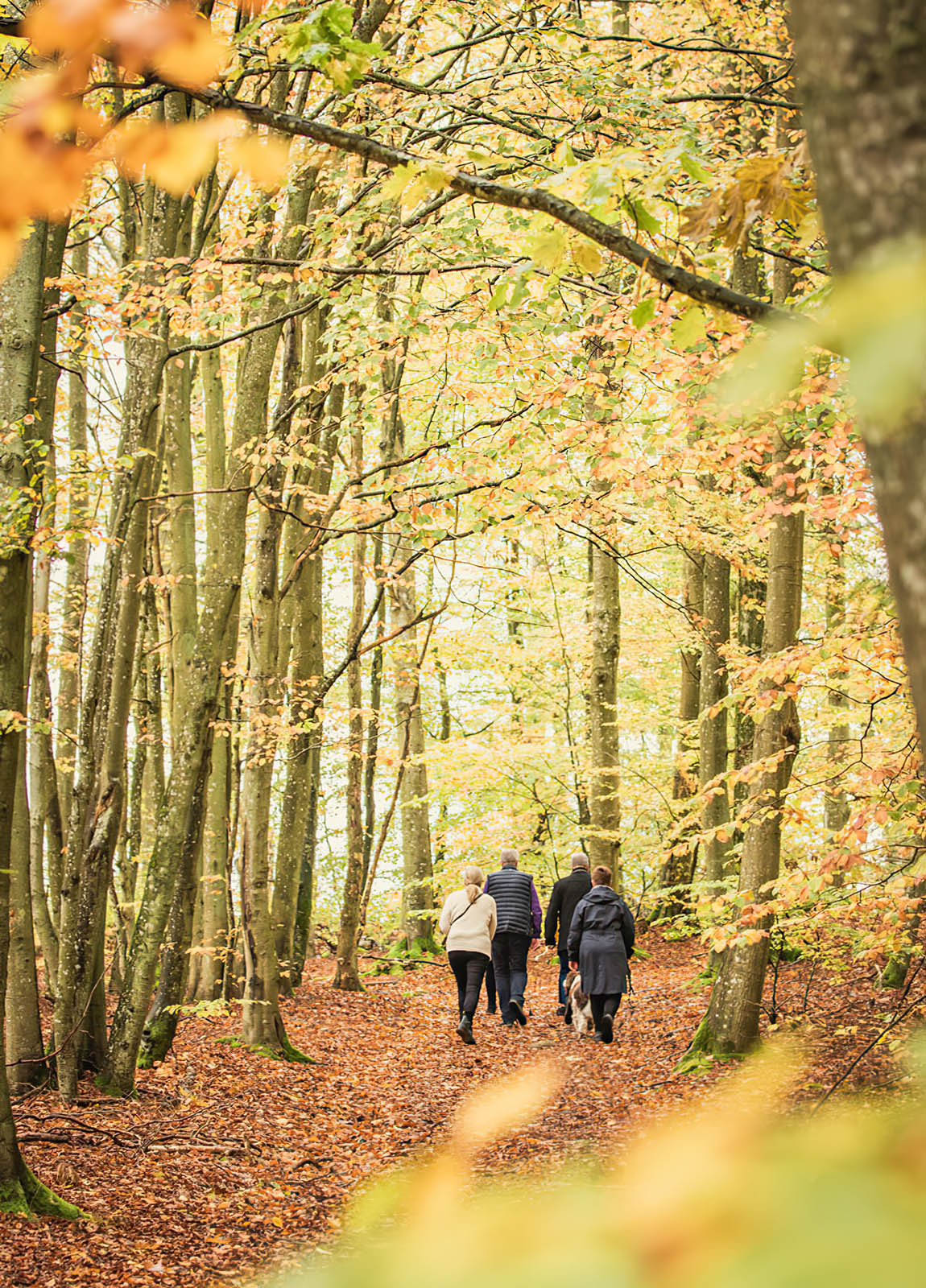 Cocoon Meetings: An exclusive invitation to nature