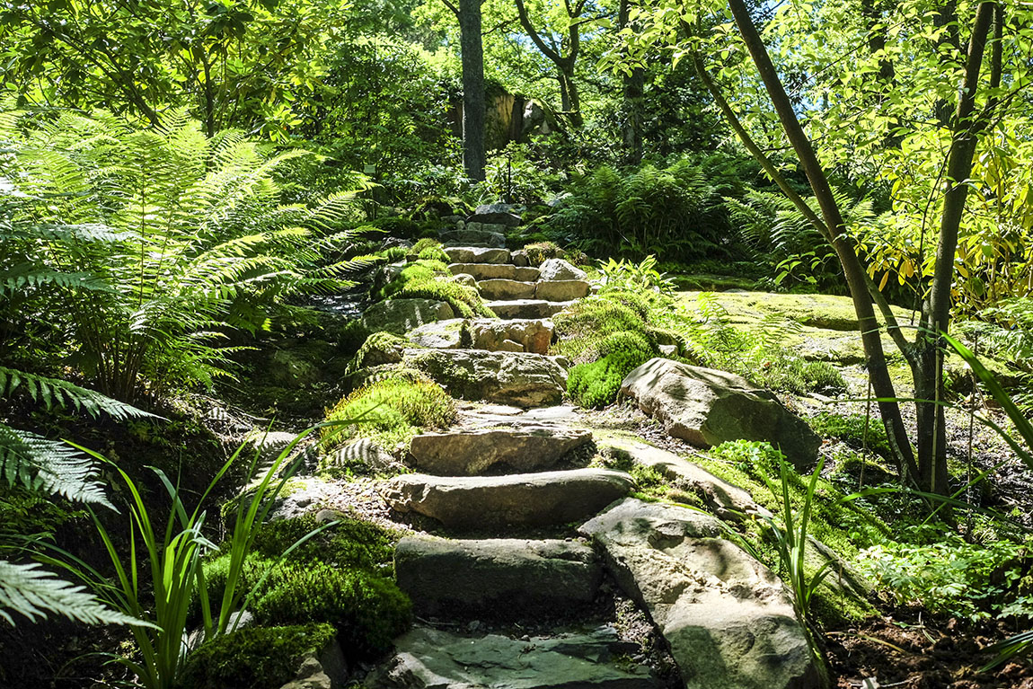 Gothenburg Botanical Garden: 100 years of botanical brilliance