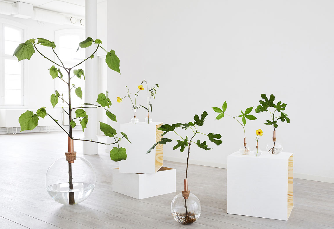Scandinavia Form: Circular design that incorporates nature into its raw and beautiful form
