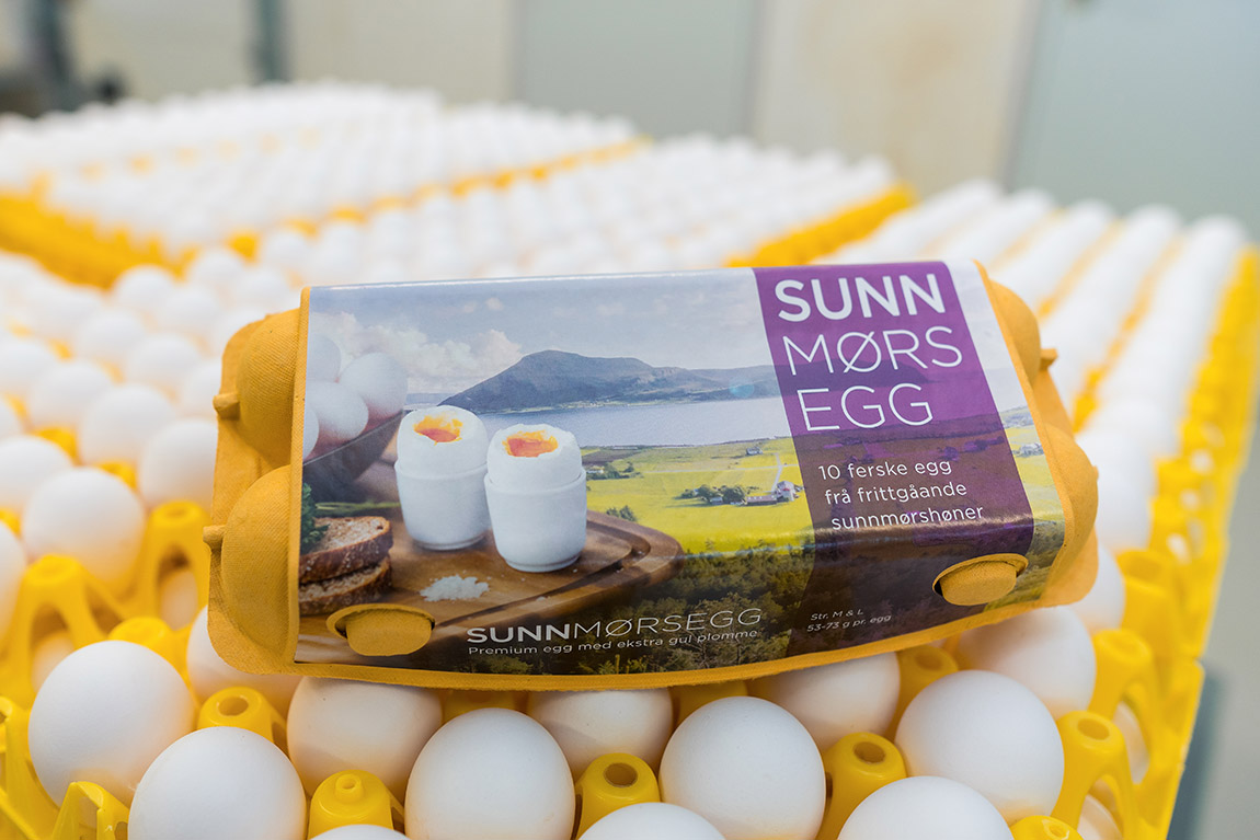 Sunnmørsmat: From Norway to Zanzibar – feeding people and cleaning beaches one egg at a time