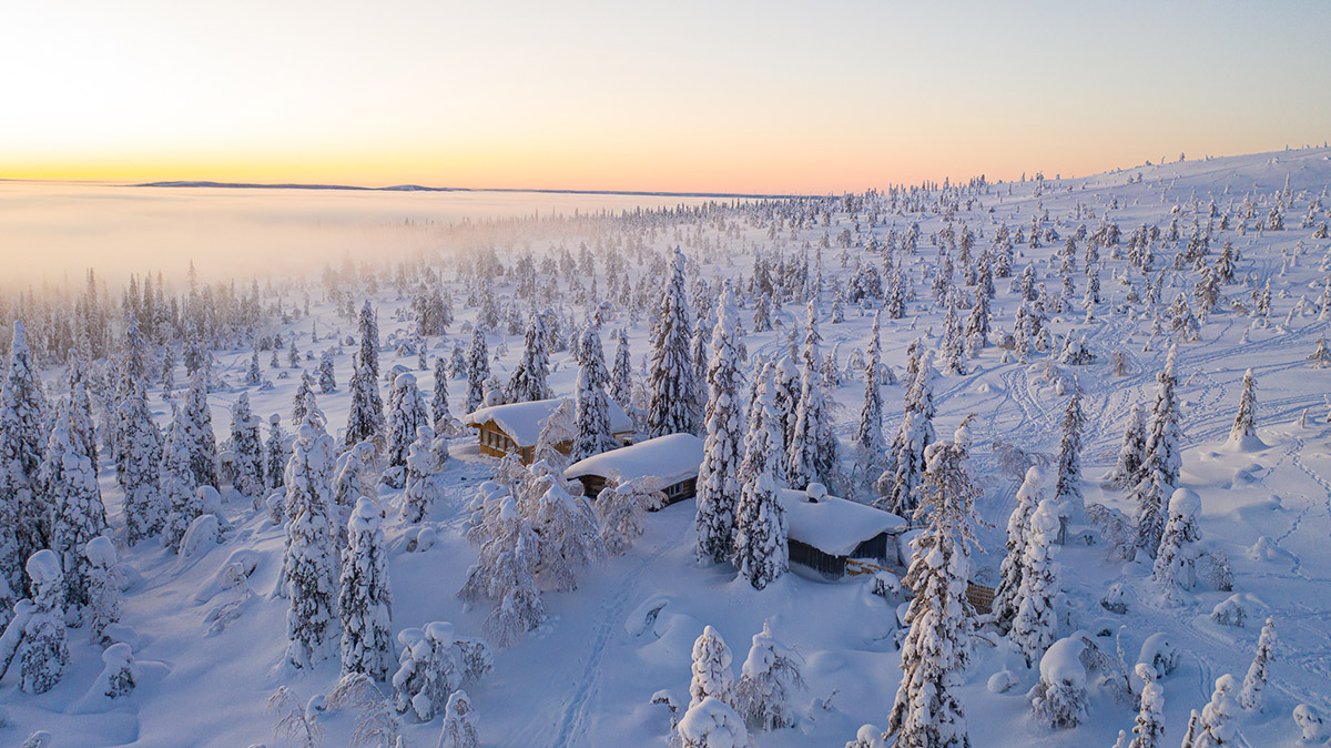 Finnish Lapland: A one-of-a-kind business culture in Arctic wilderness