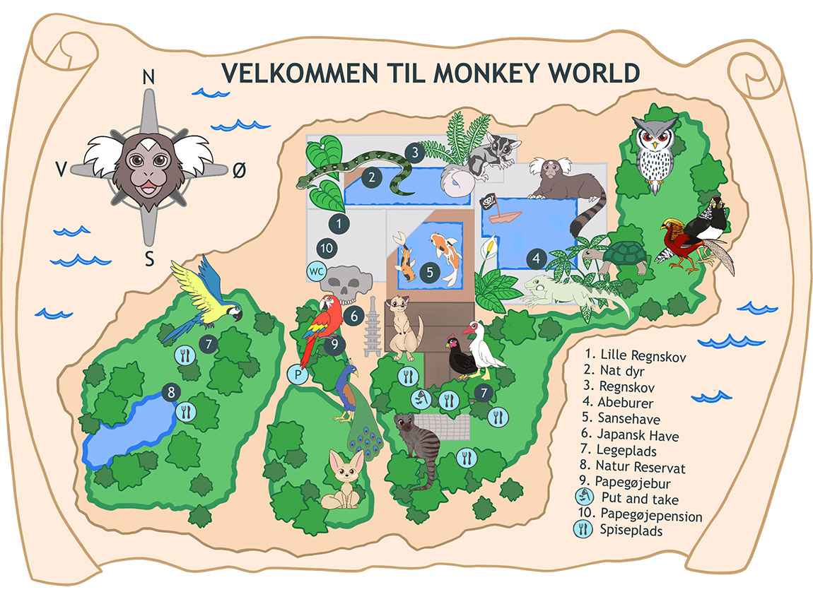 Monkey World is more than just an extraordinary experience