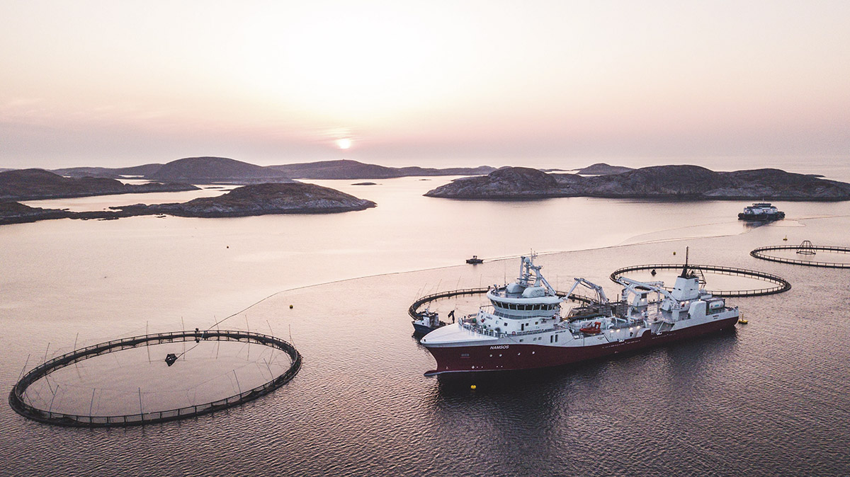 Bjørøya: Clean salmon farming on Norway’s stunning, rugged coastline