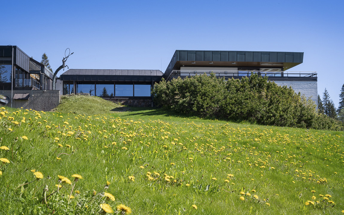 Voksenåsen Hotell: A serene hilltop escape with views of forest and fjord