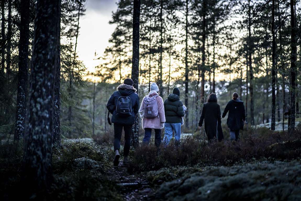 Hawkhill: Escape into the Finnish wilderness