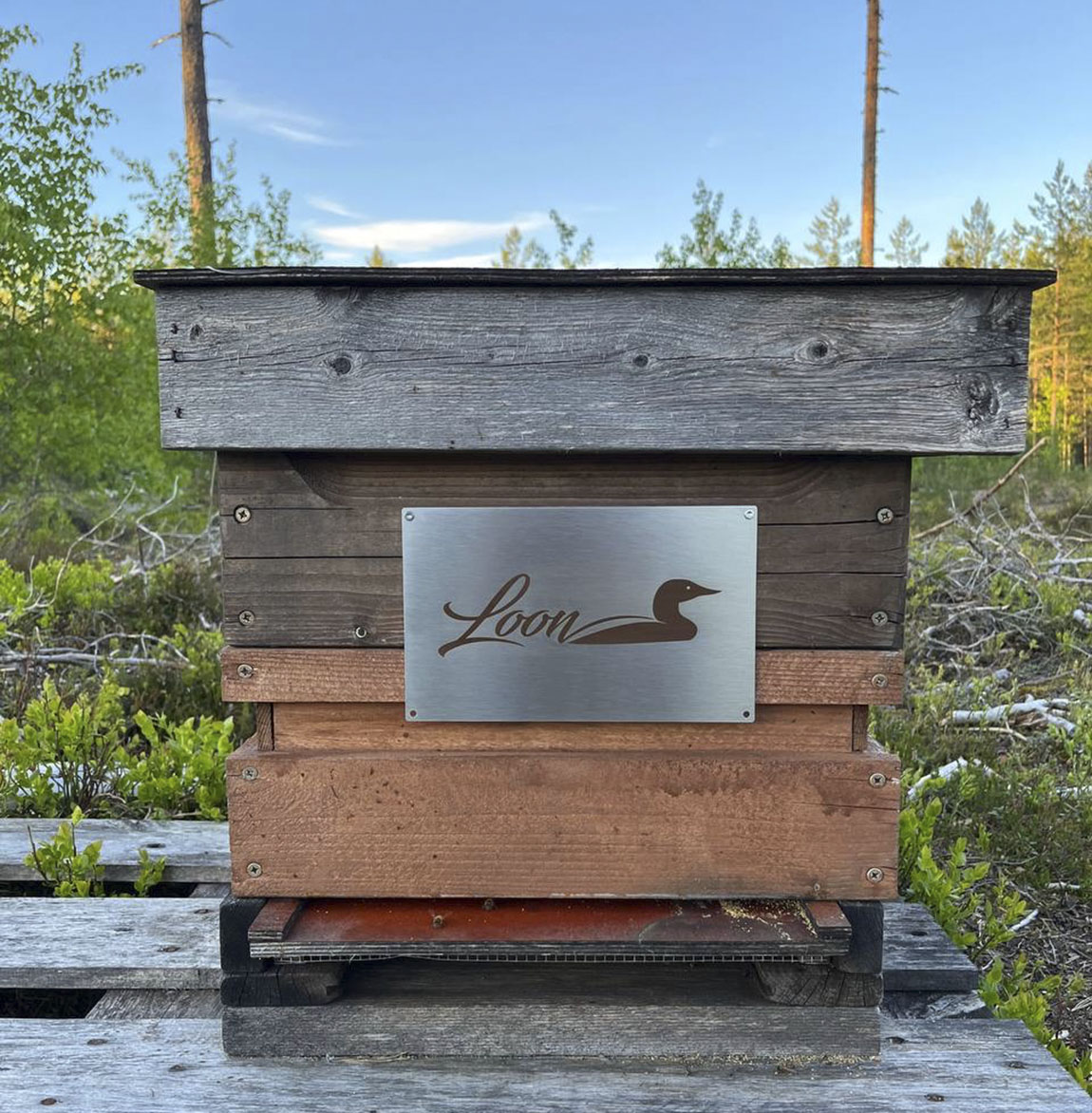 Hikiän Biodynamic Honey: Premium biodynamic honey from the woods of Finland