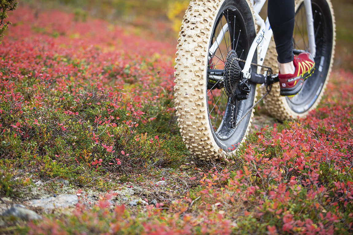 Levi: In the Finnish moutains, a whirlwind of colours and activities awaits