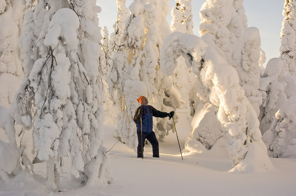 Wild Taiga: Where untouched wilderness and authentic culture meet