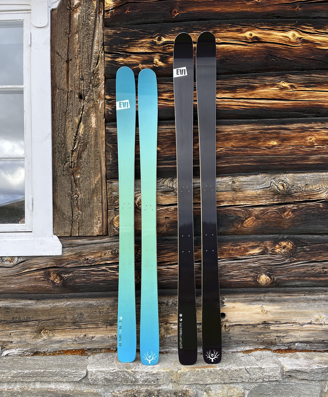 EVI Ski: Slide into the future on long-lasting upgradeable skis