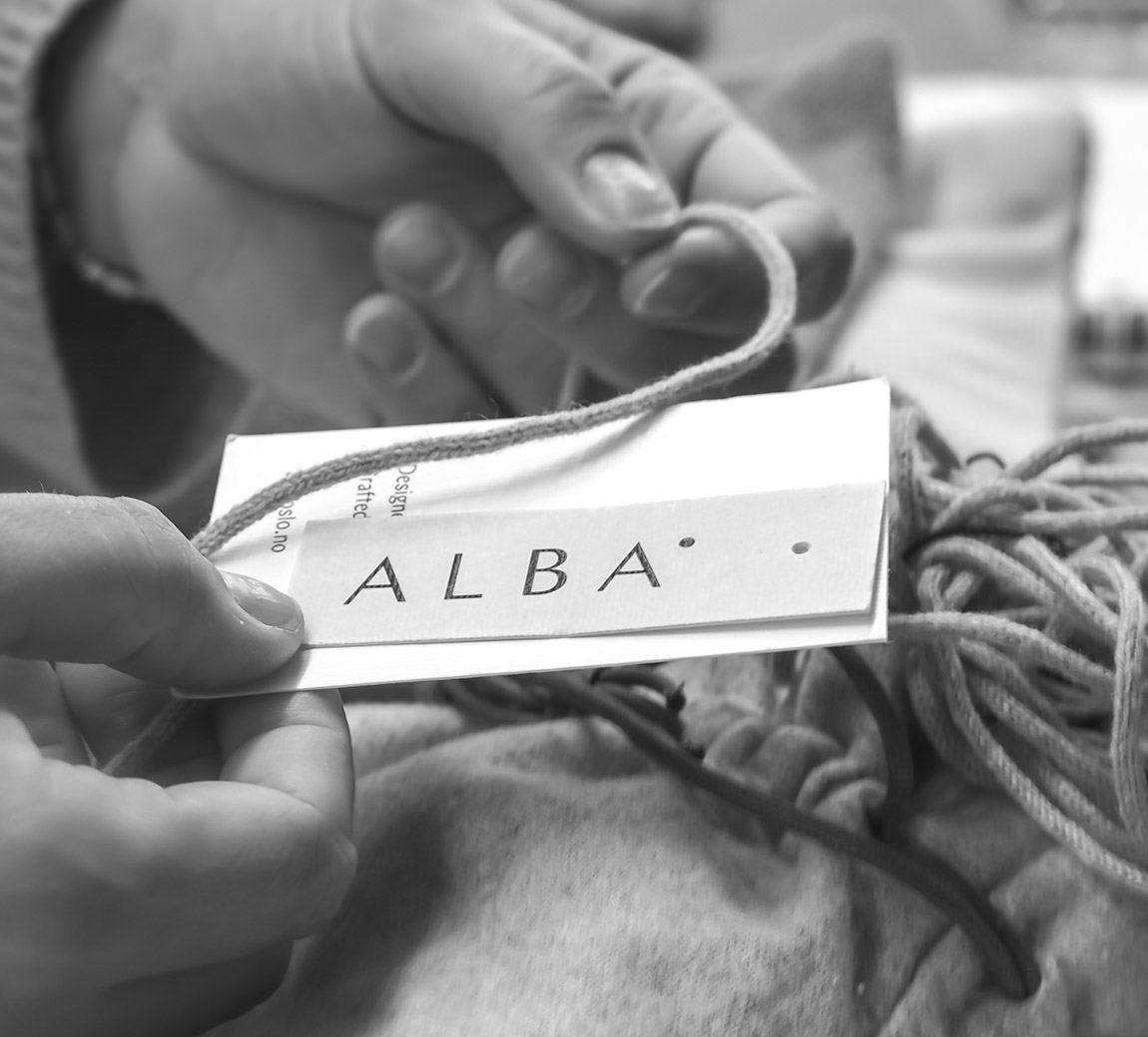 ALBA: an investment in the future
