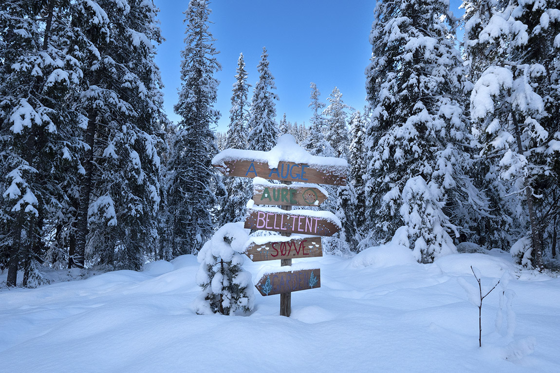 Å Camp: Rent a forest cabin in a recess of tranquil nature