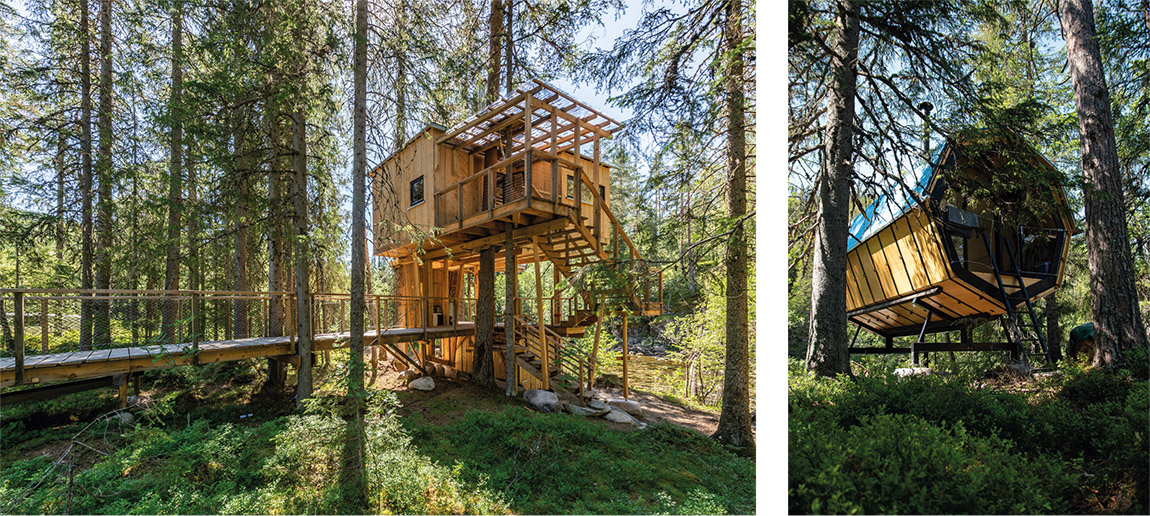 Å Camp: Rent a forest cabin in a recess of tranquil nature