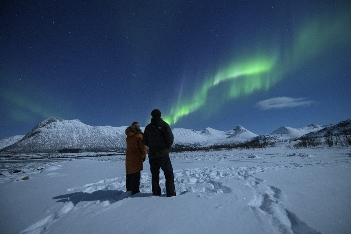 Vesterålen Tours: Tour Norway’s spectacular north