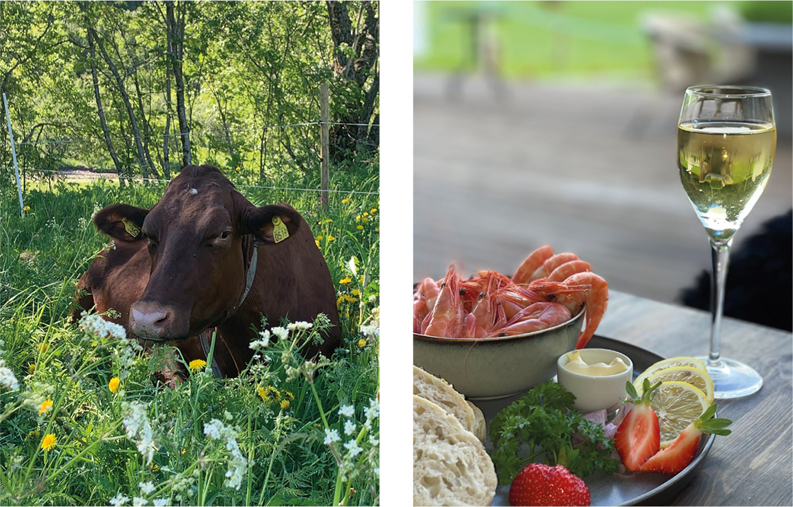 Nordmeland Gårdshotell: Experience history through luxury and farm-to-table cuisine