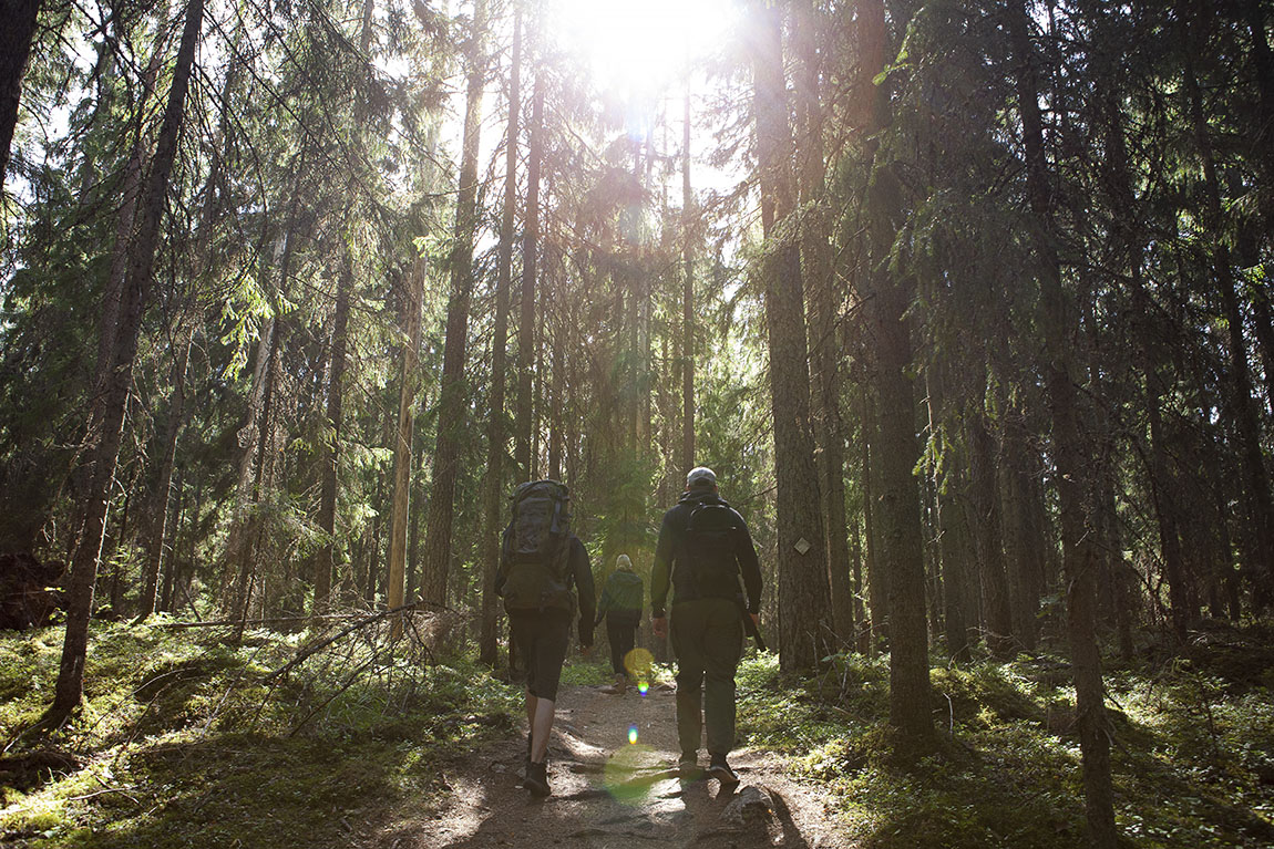 Taiga Times:Making Finnish nature trips easy for Helsinki travellers