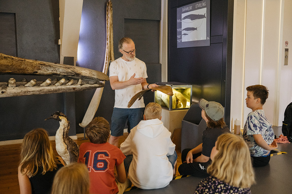 Travel back in time with The Vestfold Museums
