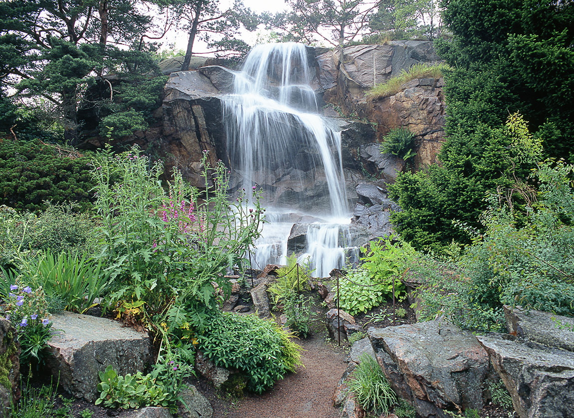 Gothenburg Botanical Garden: 100 years of biodiversity, balance and beauty