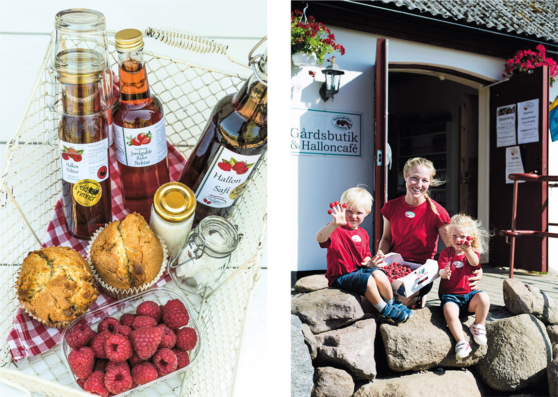 Hallongården: A familiar berry farm in the Swedish countryside